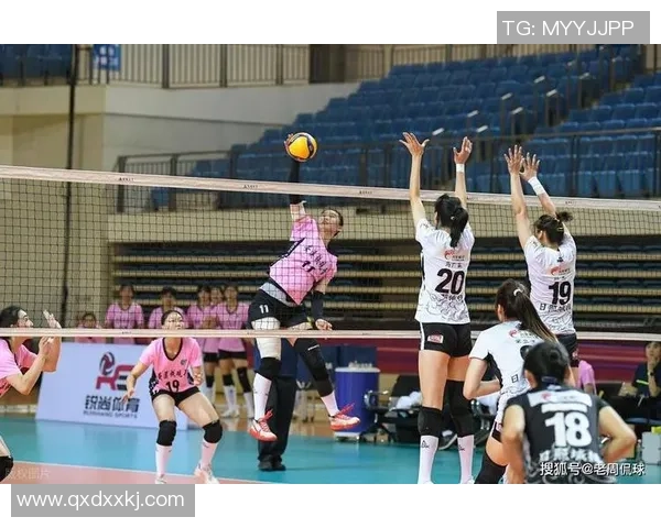 排球专题:聚焦上海排球队的力量 排球专题:聚焦上海排球队的力量