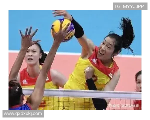 邀请赛特别报道：武汉排球队的奋斗经历